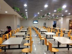食堂的学生聚会如何减肥按计划瘦！