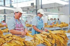 提升士气树形象，组织后备人才竞争选拔，促进大宁美联社发展