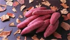 食堂承包：早餐9道地瓜美食做法
